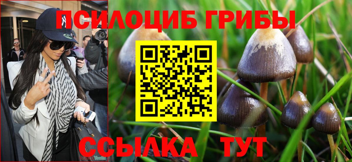 Псилоцибиновые грибы MAGIC MUSHROOMS Калининград