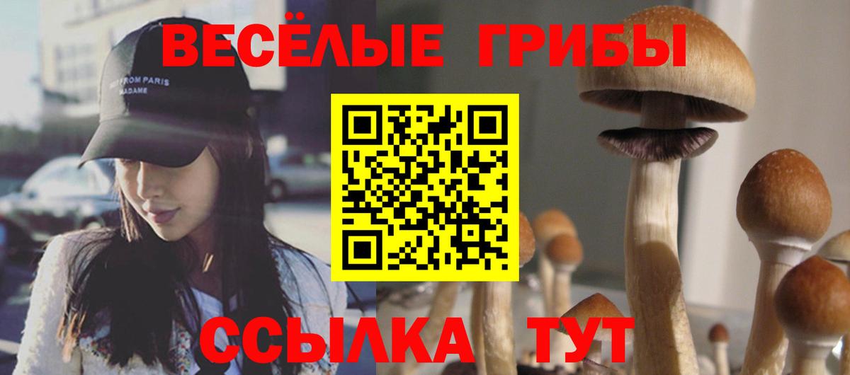 Калининград  Галлюциногенные грибы мицелий  Псилоцибиновые грибы Psilocybe  Вход с VPN 