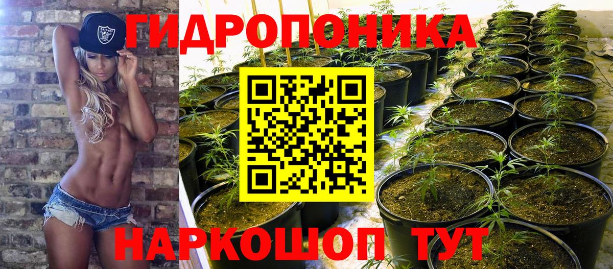 Конопля VHQ Калининград